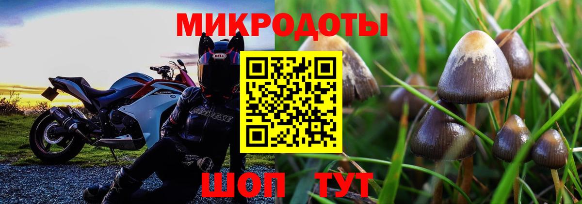Псилоцибиновые грибы мицелий Нововоронеж